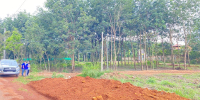 Bán đất nền giá cực hấp dẫn nhiều tiềm năng