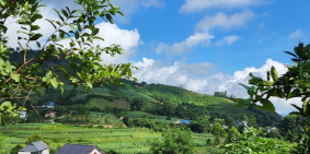 Sở hữu ngay mảnh đất nghỉ dưỡng sẵn nhà bám đường nhựa 3400m giá rẻ tại Cao Phon