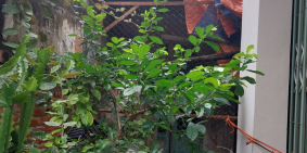 BÁN ĐẤT YÊN XÁ - BA GÁC ĐỖ CỔNG - 75M2 4.85 TỶ