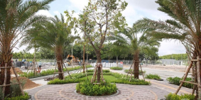 CÁT TƯỜNG PARK HOUSE - Đầu Tư Sinh Lợi Lớn