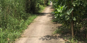 Bán 20 công đất thuộc sóc Trăng