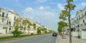 20tr/tháng-Cho thuê căn liền kề 90m đã hoàn thiện Vinhomes Ocean Park Gia Lâm