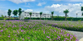 Lô góc nền Shophouse, mặt tiền đường 50m, DT100m, chính chủ đúng giá 4,9 tỷ