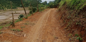 Bán 2ha vườn càphe xen cây ăn trái : Sầu riêng, bơ có ao tưới giá chỉ 230Tr/sào