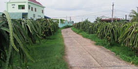 Nhà còn lô đất trống không ai trong coi, Cần bán gấp Thôn Phú Phong - Hàm Mỹ.