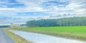 Đất vườn Thổ Cư - Phú Mỹ Hưng - Củ Chi ,DT 600m2 -  Giá 3,5tr/m2, VIew đẹp gần k