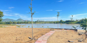 Đầu tư sinh lợi nhuận với đất nền giá rẻ