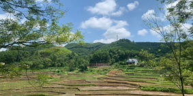 Bán Gấp Đất Chính Chủ giá rẻ 1400m Tân Lạc Hoà Bình Nghỉ dưỡng Siêu Đẹp