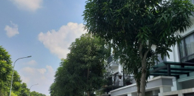 Bán liền kề Gamuda Gadens, Hoàng Mai  90mx4TxMT5m, ô tô, KD giá 17tỷ. 0366051369