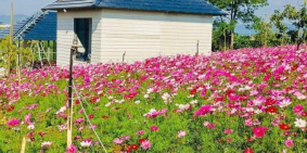 BÁN ĐẤT NGHỈ DƯỠNG THÀNH PHỐ BẢO LỘC