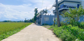 Đất rẻ tại Điện Hồng cần bán nhanh thu hồi vốn