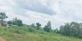 Mua bán đất chính chủ giá rẻ, sổ sẵn 380 triệu, đường sắp lên nhựa