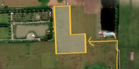 Bán 7,5 công ruộng tại Châu Hưng Vĩnh Lợi Bạc Liêu