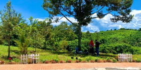 Bán đất đường Liên xã 850tr 200m2 ngay Chợ cũ Lộc An