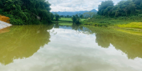 Quá Rẻ Đẹp 2000m thổ cư view hồ chỉ 950tr ngay Uỷ Ban Trung Tâm Tân Lạc Hoà Bình