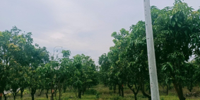 Tôi cần bán lại sào đất ngay KCN Định Quán xã La Ngà