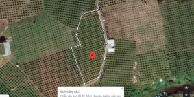 Cần bán lô đất 2,8 sào tại xã Hàm Thạnh, Hàm Thuận Nam, Bình Thuận