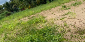  Đất Phường 10 gần QL 50 với nhiều tiện ích để ở và đầu tư.