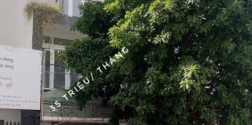 Cho thuê nhà đất khu vực An Phú , An Khánh  giá từ 20triệu-200 tr/th