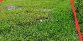 Cần bán gấp đất Củ Chi hai mặt tiền đường 7m giá rẻ