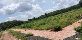 Đất nền Lộc Ninh, Bình Phước, giá chỉ 365 triệu