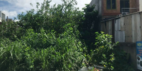 Bán gấp lô đất thổ cư đường TTH21, Tân Thới Hiệp, Q12 80m2, SHR, 3ty5