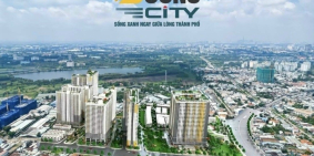 CƠ HỘI TRONG TUẦN NÀY CHỈ 593 TRIỆU SỞ HỮU NHÀ PHỐ PLAZA BCONS