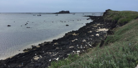 Bán nhanh 1.9 sào đất nằm ở vịnh Triều Dương, đối diện Hòn Tranh Đảo Phú Quý.