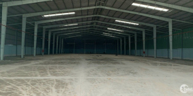 cho thuê kho, xưởng đường Ao Đôi, Bình Tân, DT: 8.000m2