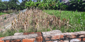 Bán lô đất 130m2, Minh Hòa, Hưng Hà, Thái Bình. Ô tô tránh nhau. Giá 690 triệu