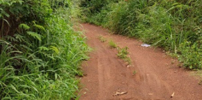 Cần bán hơn 1 mẫu đất ven sân bay Long Thành. Diện tích 1.7319,7m2, full hồng.