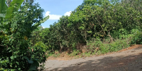 CẦN VỐN LÀM ĂN BÁN NHANH SÀO ĐẤT KCN ĐỊNH QUÁN