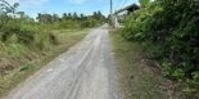 Đất vườn đ.nhà nước một sẹc phạm thái bường xe hơi tới tận đất