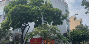 Mặt phố Hàng Bông 230m2 3 tầng cực sock chỉ 313tr.m2. Ms Kim