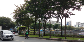 Mặt Tiền Kinh Doanh, Trường Sa, 52m2, 2 Tầng, 5.6 Tỷ