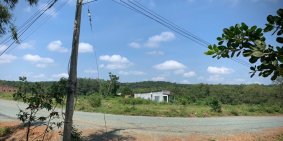 Bán đất thổ cư Tân Hưng- Hớn Quảng đã có sổ