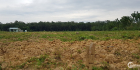 Cần bán lô đất minh hòa dàu tiếng bình dương