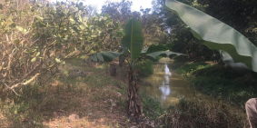 Chính chủ bán rẻ 10629m2 đất vườn điều cao su cực đẹp  tân lâm xuyên mộc brvt