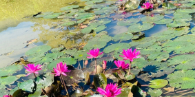 Quá Đẹp để Nghỉ Dưỡng ko nên bỏ lỡ 1800m Phú Cường Tân Lạc Hoà Bình giá cực rẻ