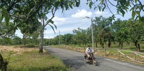 BÁN NHANH ĐẤT VƯỜN XOÀI ,ĐƯỜNG NHỰA NHÌN RA SÔNG LA NGÀ