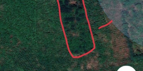 Bán đất 6,7 sào lộc an - bảo lộc