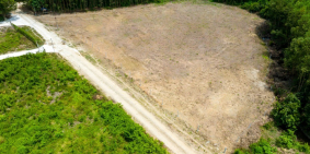 Đất 2 mặt tiền, diện tích bám đường lớn, đường hiện trạng bê tông 8-10m