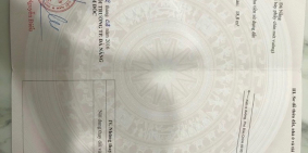 Đất chính chủ cần bán 200m2. Cách đường lớn ô tô vào được tầm 10m