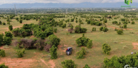 Cần tiền bán lỗ hơn 8 sào đất vườn sông luỹ ngay dân cư chỉ 1,1 tỷ Lh 0938677909