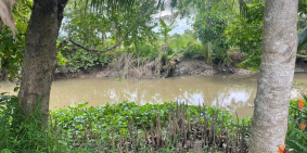 Bán đất chính chủ xã an Khánh châu thành đồng tháp