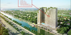 Cần ra hàng đầu tư căn hộ D-AQUA Quận 8