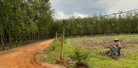 3168 m2 đất 2 mặt tiền ở Tân Biên - Tây Ninh