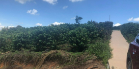 Bán đất sào 6913m2 đất 3 mặt tiền tại Lâm Hà giá 4.5 tỷ