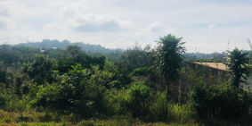 Cần tiền bán cắt lỗ 5 lô đất tại trung tâm thị trấn kiến đức