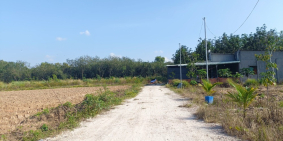 Đất Dầu Tiếng Bình Dương đầu tư tốt gần trung tâm xã Minh Tân 1000m2 chỉ 480tr